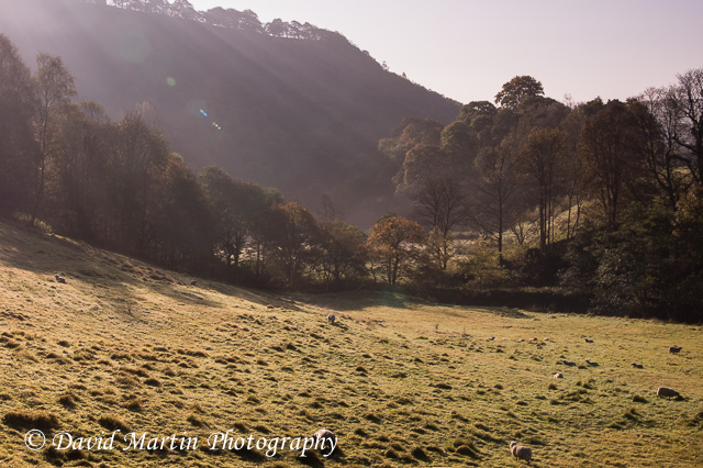 Autumn Morning in Midgehole